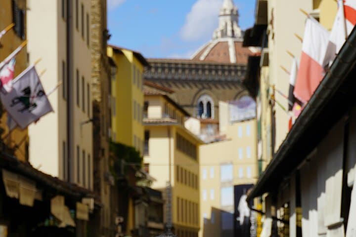 Art, Medicis and Renaissance. Explore Florence with Vincenzo