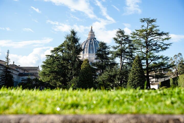 Vatican Museums & Sistine Chapel Express 2-Hour Guided Tour