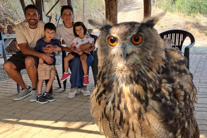 Interactive Educational Course on Birds of Prey