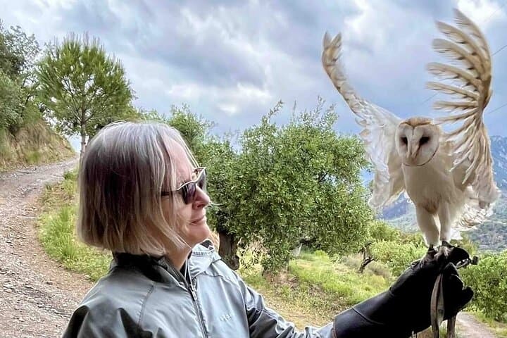 Interactive Educational Course on Birds of Prey