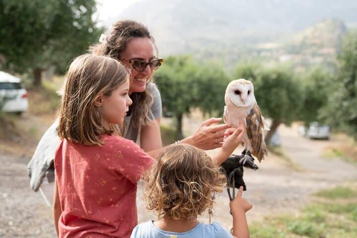 Interactive Educational Course on Birds of Prey