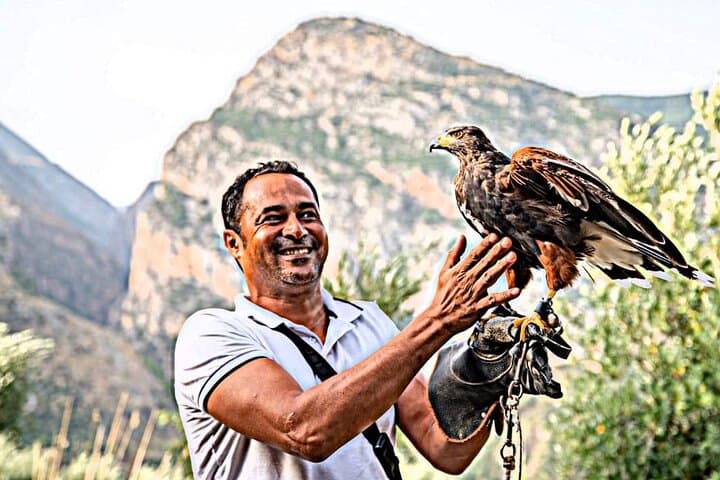 Interactive Educational Course on Birds of Prey