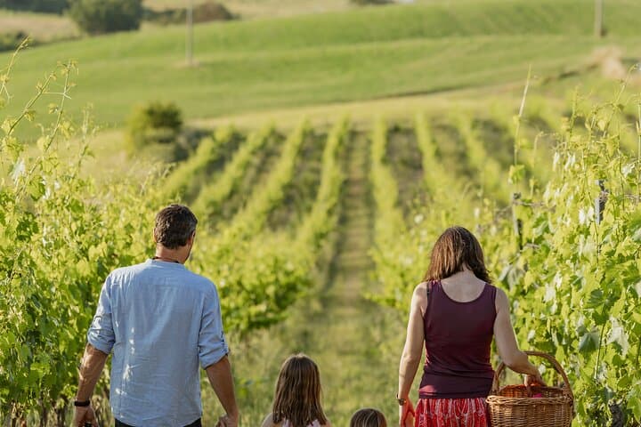 Montalcino: exclusive picnic in the vineyard with wine basket