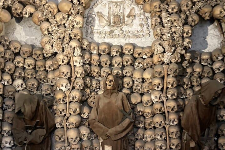 Echoes of the past, preserved in stone and bone.