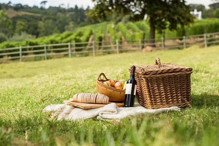 Half-day Tour to San Gimignano with Picnic Lunch & Chianti Wine