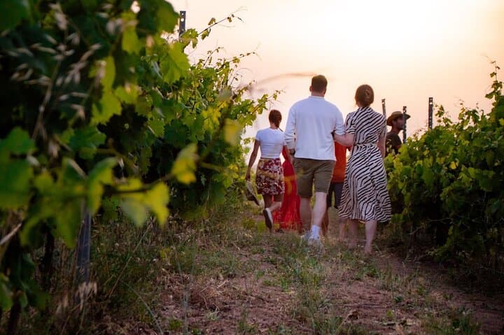 Palau Wine Tasting in a Gallura Winery