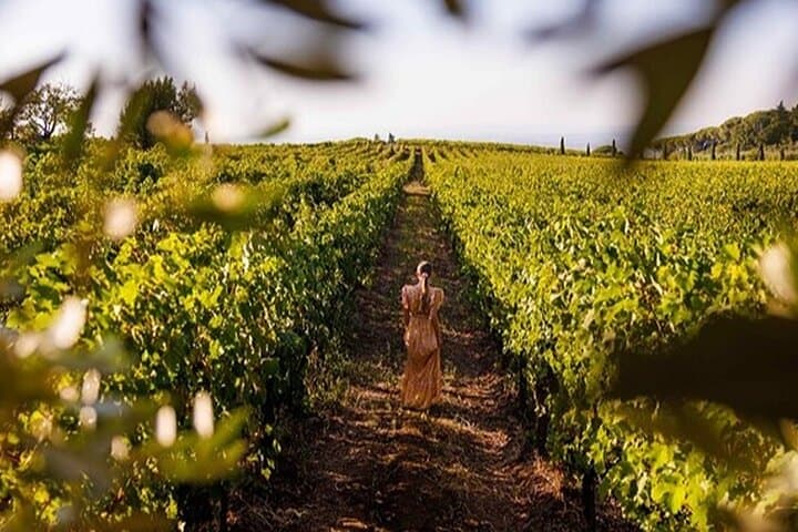 From Rome: private Wine tasting and Tivoli Tour