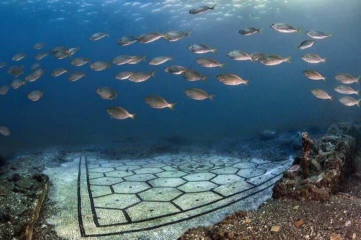 School of salps flying over the Mosaic of Pelte of the Villa in Protiro