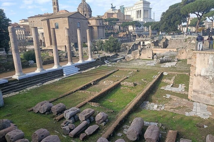 Colosseum, Roman Forum and Palatine Hill Private Tour