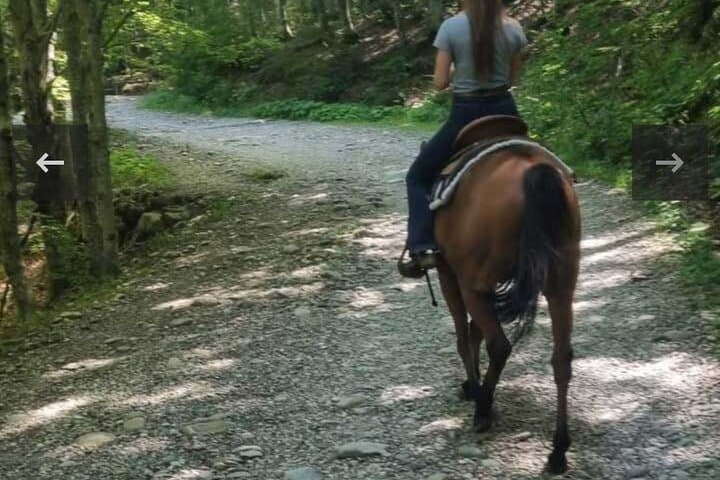 Horseback riding in the Tuscan hills