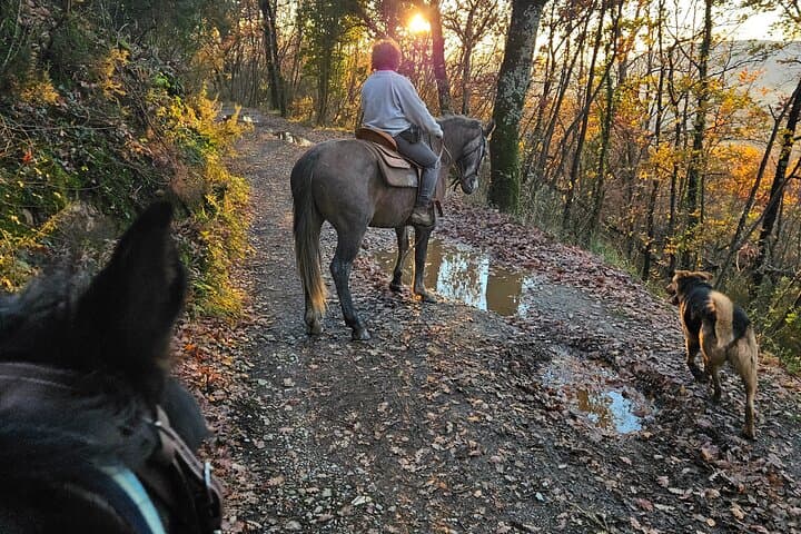 Horseback riding in the Tuscan hills