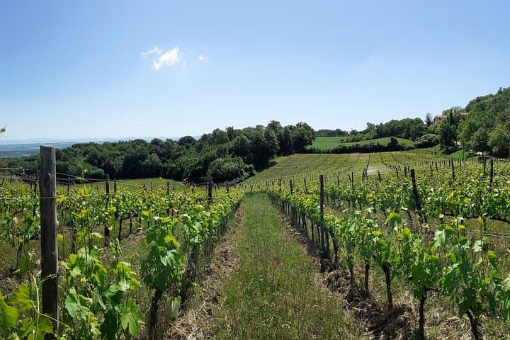 Heroic Wine tasting, Limited edition Tuscan Wine.