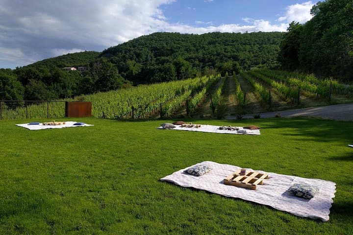 Montepulciano: A picnic with wine, surrounded by vineyards