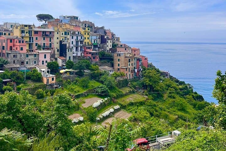 Cinque Terre PrivateTour by van from Lucca, Pisa or LaSpezia Port