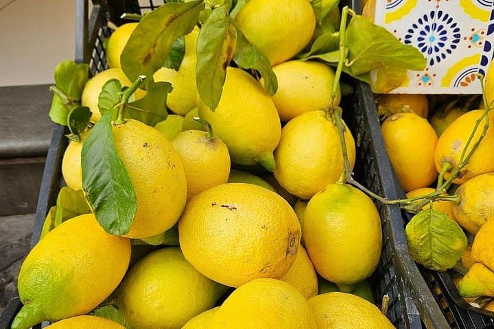 Semi-Private Cooking Class in a Sorrento Lemon Grove