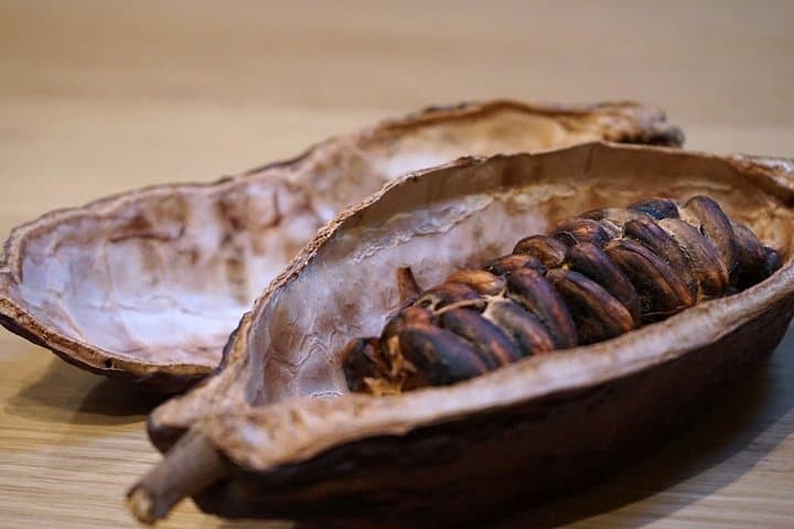 Fine Chocolate Tasting in Turin