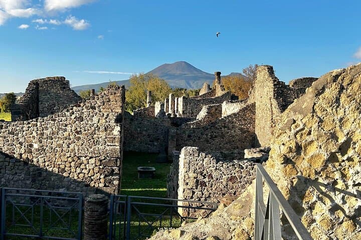 Pompeii with an Archaeologist Shared or Private Tour from Naples
