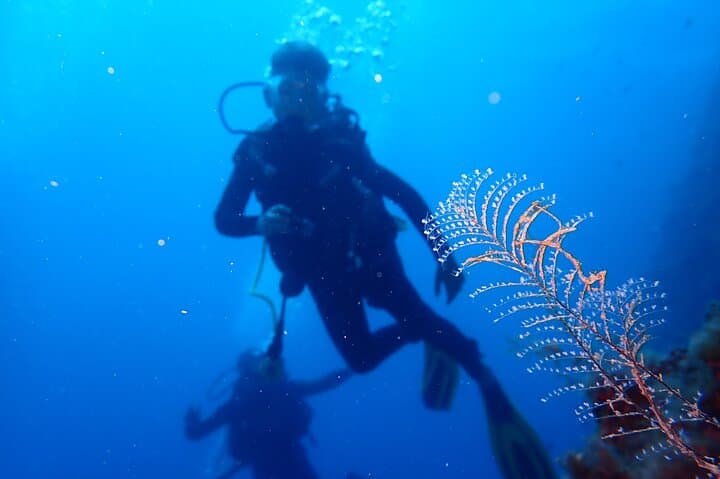 PADI Open Water Diver Course