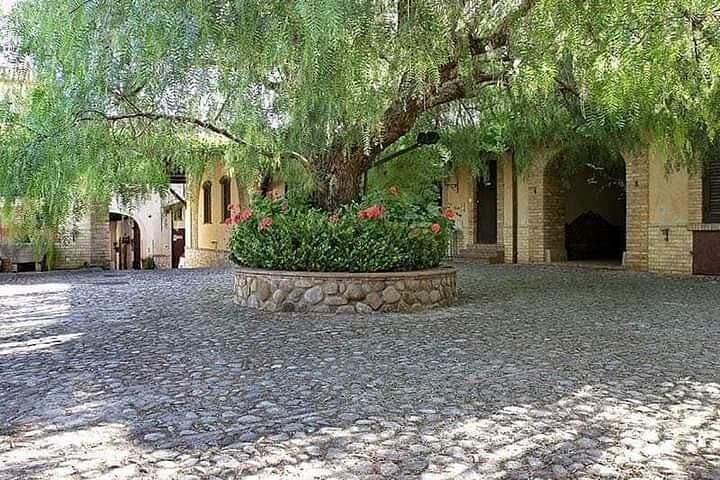 Cooking Class in a historic sicilian farmhouse