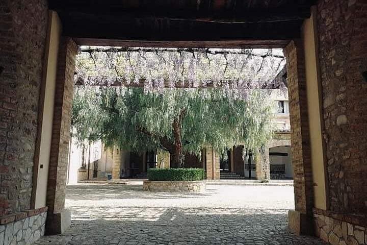 atrio esterno