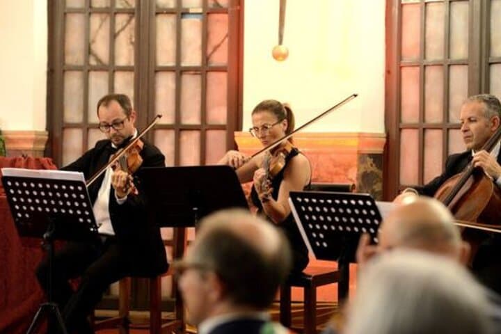 Opera musicians near Filarmonico Theatre at Palace Mutilati