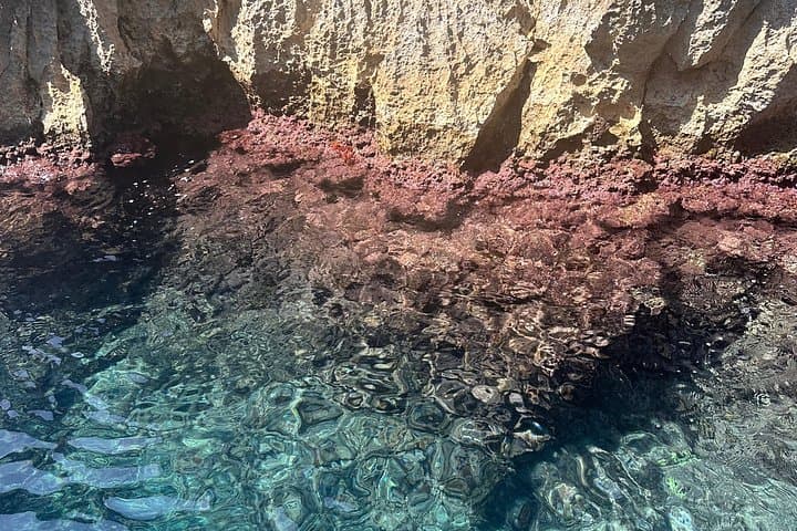 Every tour will include at least one dive in the pristine water of the island of Capri.