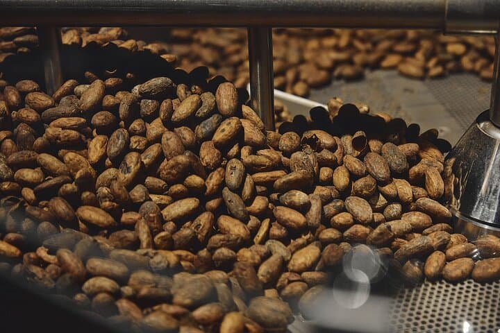 Chocolate Experience at La Fabbrica del Cioccolato in Milan