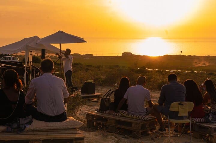 Castelsardo Vineyard and Wine Tasting Experience with Sunset