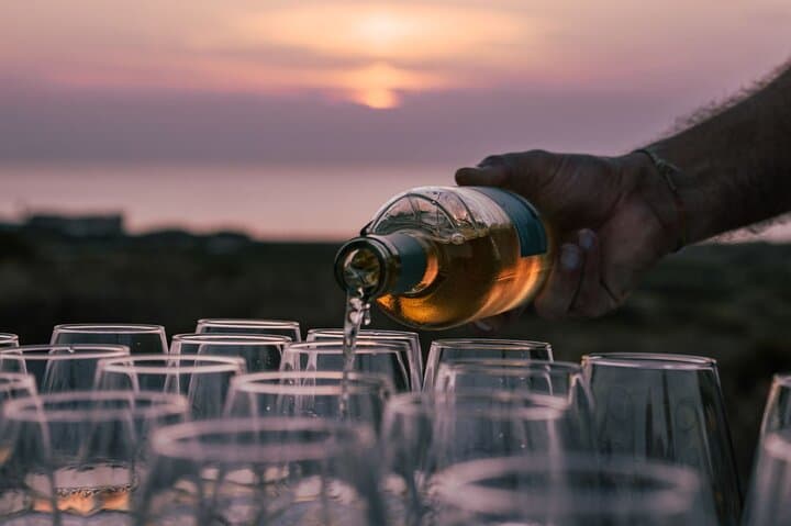 Castelsardo Vineyard and Wine Tasting Experience with Sunset