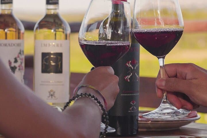Visit of a Winery with Tasting in Dorgali