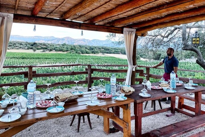 Visit of a Winery with Tasting in Dorgali