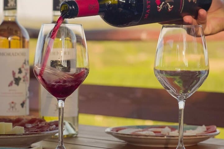 Visit of a Winery with Tasting in Dorgali