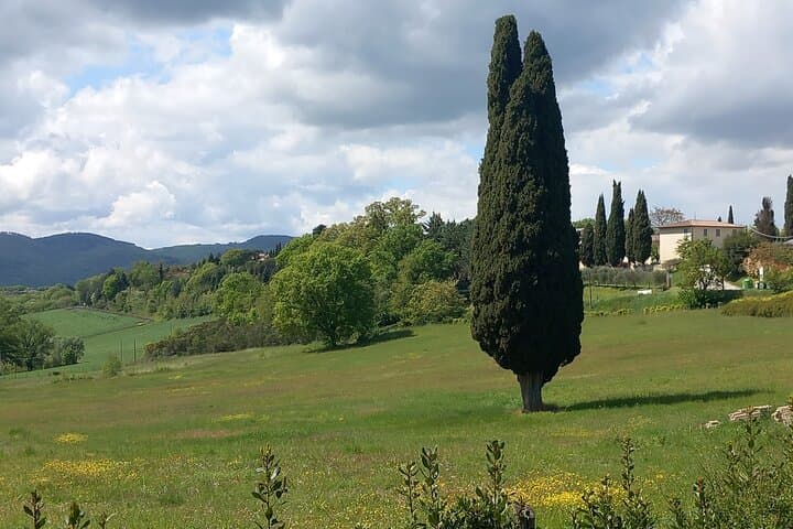 Tour in and bike in Alta Umbria - Citerna and Anghiari