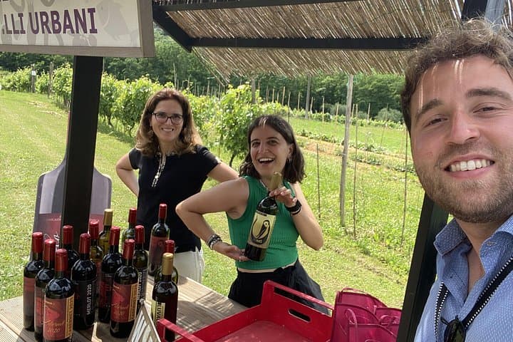 Tasting in a Tuscan Vineyard with transfer from Pisa