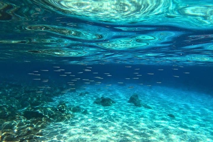 Cala Gonone Snorkeling in the Orosei Gulf