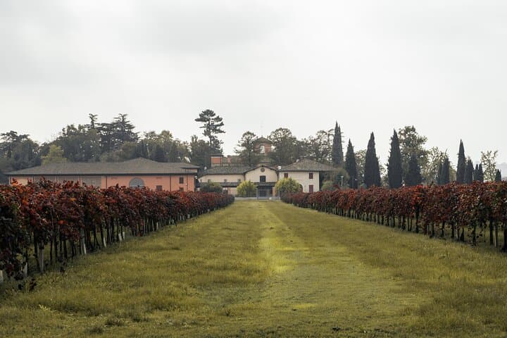 Guided Tour Cleto Chiarli with Lambrusco Tasting