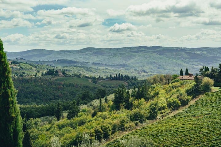 Chianti Wine Tour for Small Groups: 3 Family Wineries & Lunch