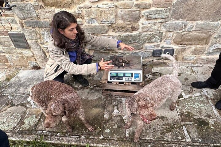 Me weighing truffles after the hunt