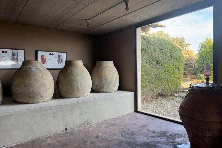 Barumini Su Nuraxi and Wine Experience
