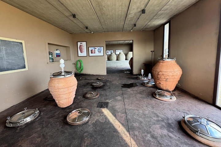 Barumini Su Nuraxi and Wine Experience