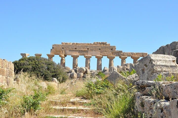 Selinunte Archaeological Park Private Tour