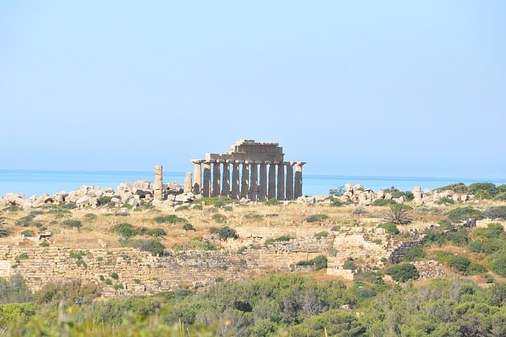 Selinunte Archaeological Park Private Tour
