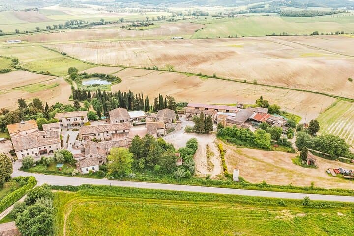 Truffle Hunting and Cooking Class in a Farm in Colle Val d'Elsa
