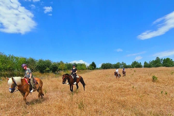 Horseback Riding in the Tuscan Vineyards