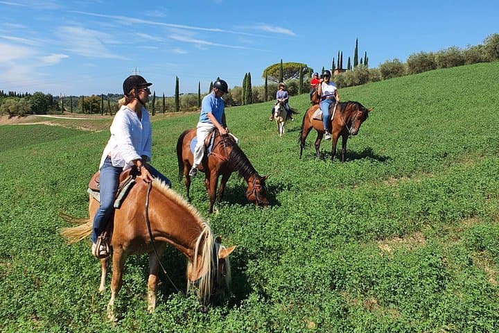 Horseback Riding in the Tuscan Vineyards