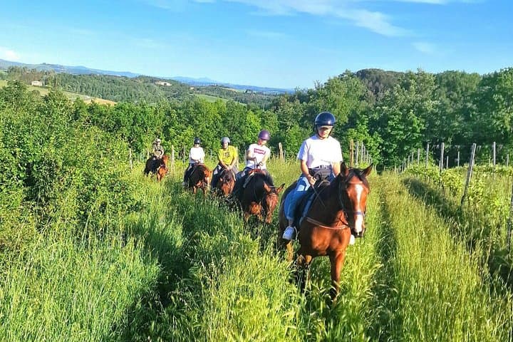Horseback Riding in the Tuscan Vineyards