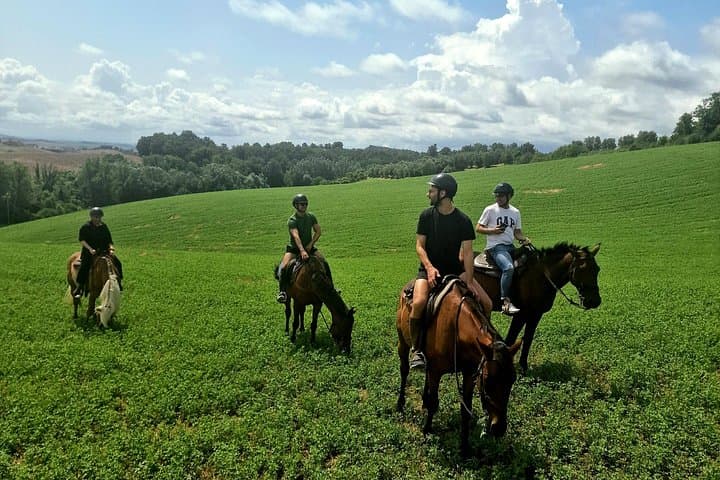 Horseback Riding in the Tuscan Vineyards