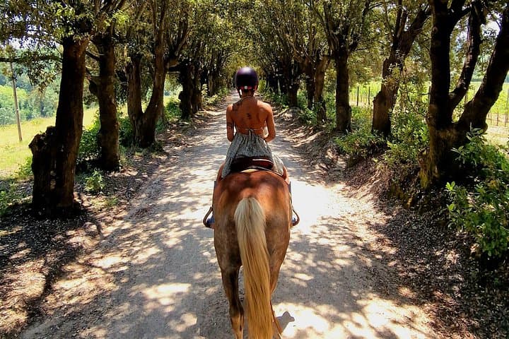 Horseback Riding in the Tuscan Vineyards