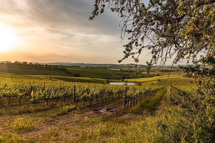 From Siena Brunello di Montalcino Wine Tour with Lunch