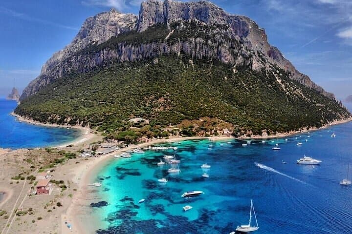 Tour in Barca a Vela Tavolara e Delfini da Golfo Aranci